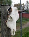 KH001 vänster.jpg