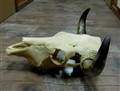 Naturell Tjur 380966395111 Kr47cm.jpg