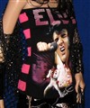 elvis rosa detalj.jpg