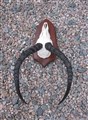 impalahorn p sköld ovan B30.jpg