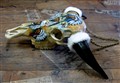 indianbuffel handmålad höger reserv.jpg