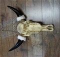 indianbuffel handmålad tandrader.jpg