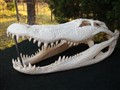 monster alligatosida.jpg