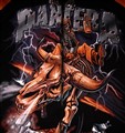 pantera detalj fram svart m silverjackan.jpg