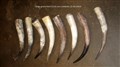 samlingsbild horn större per styck.jpg