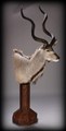 större kudu på träpidestal.jpg