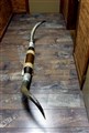txhorn5624 höger.jpg