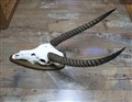 vattenbock 4962 h90cm.jpg