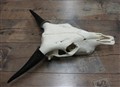 vattenbuffel 271789622388 B48,5-50cm andra sid.jpg