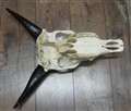vattenbuffel K 271789622388 undersida.jpg