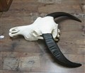 vattenbuffeltjur 146 höger H76cm.jpg