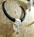 vattenbuffeltjur XL5 Höjd 90-91 cm.jpg
